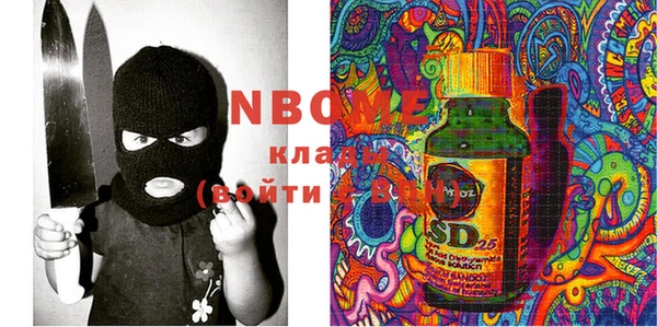гашик Няндома