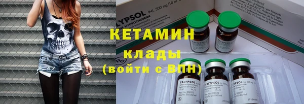 гашик Няндома