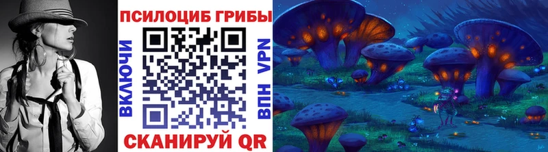 Галлюциногенные грибы Cubensis  mega ссылка  Первомайск 